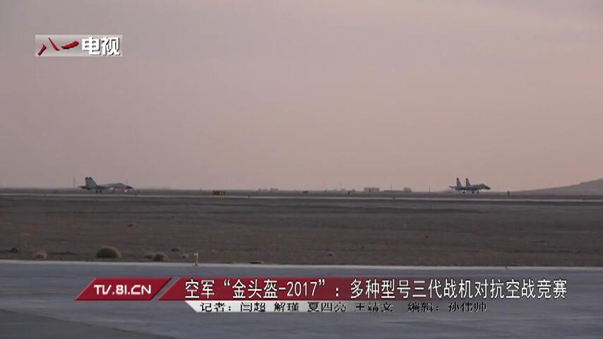 中国空军航空兵旅编制探析,中国空军航空兵旅编制深度解析