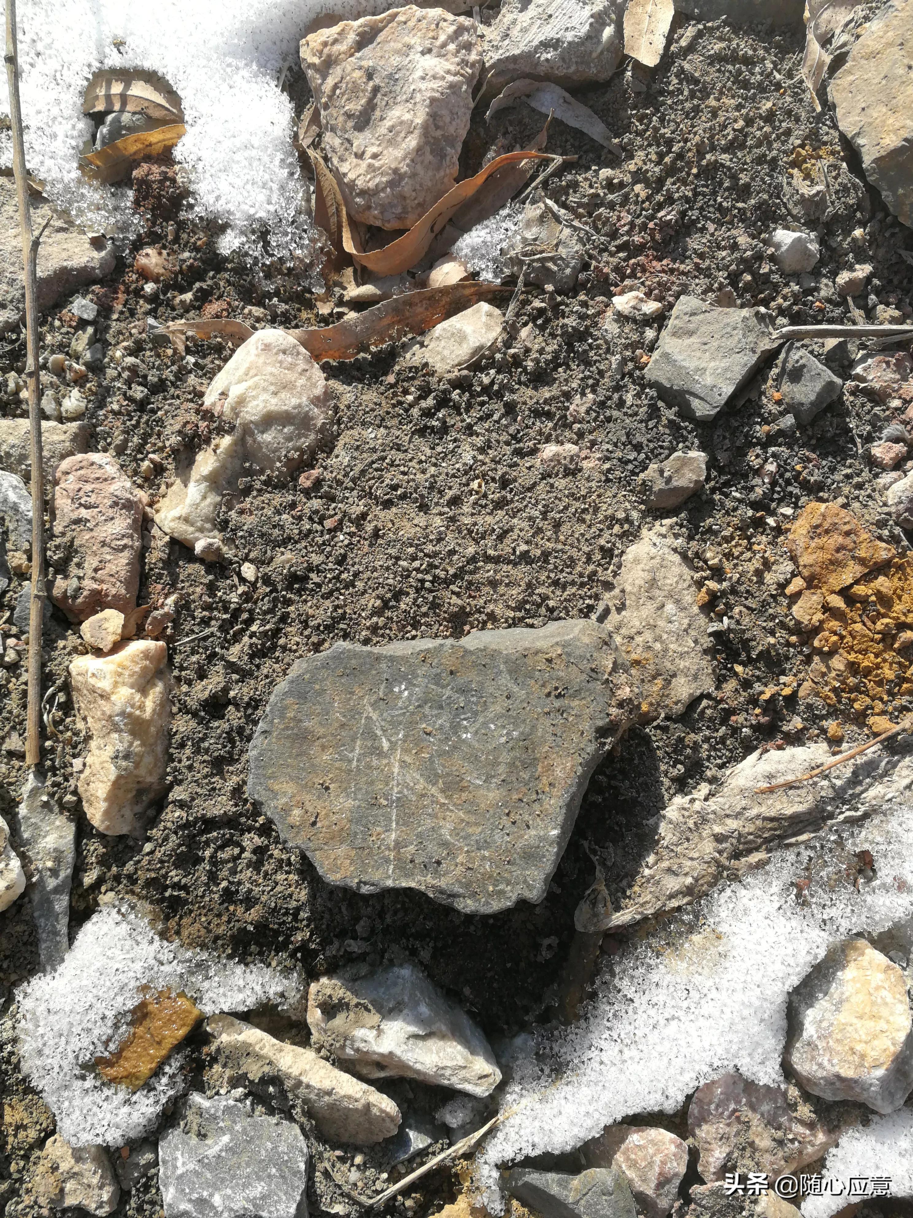 俄乌局势的最新动态,战争是否仍在持续?,俄乌局势最新动态,战争持续与否的探讨