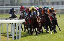 澳门赛马六月开奖结果，激情与期待的交汇点，澳门赛马六月开奖结果，激情与期待的瞬间