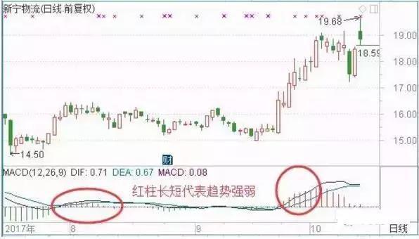 王中王最准一肖公开选料，揭秘精准预测背后的秘密，揭秘王中王精准预测生肖秘密，一肖公开选料揭秘精准预测背后的真相