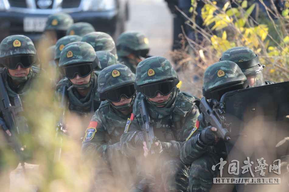 武警雪豹突击队训练真实视频,揭示精英战士的锤炼之路,武警雪豹突击队训练实录,精英战士的锤炼之路