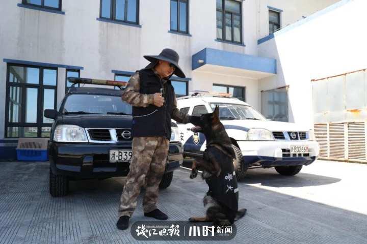 一览表（概览）