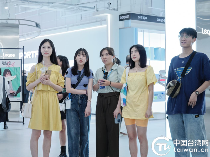 台湾最新消息与今日动态直播间视频,台湾最新消息与直播间今日动态视频速递