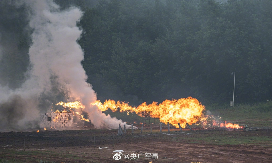 穿星空迷彩是否犯法,深入解析与法律规定,穿星空迷彩是否违法?详解法律规定与深入解析