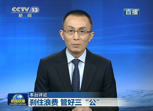 央视四套评论员全阵容深度解析,央视四套评论员全阵容深度剖析