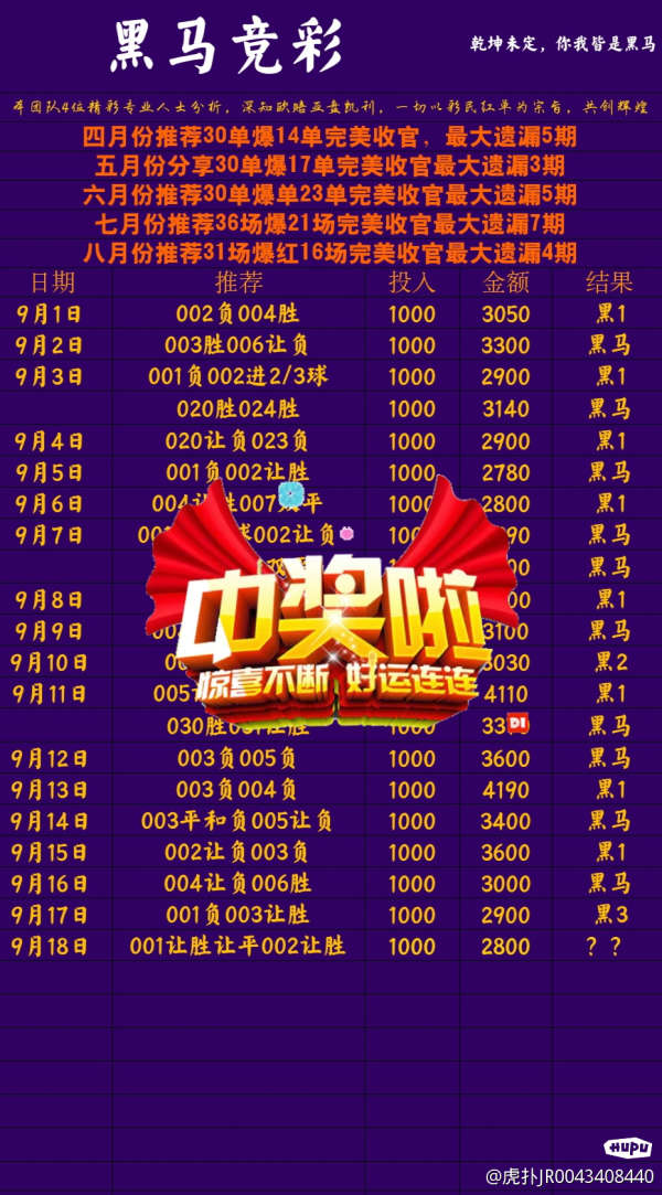 王中王黑马堂一肖中特,探寻神秘与传奇的交汇点,探寻王中王黑马堂一肖中的神秘与传奇交汇点