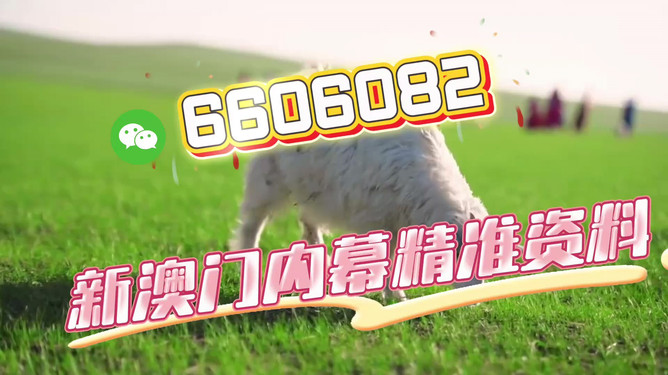 澳门今晚必开一肖一特，探索命运之轮的神秘面纱，澳门今晚必开生肖秘密，命运之轮神秘面纱揭晓