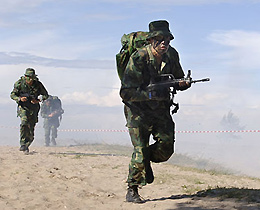 新浪网新闻与新浪军事，深度解读军事资讯的权威平台，新浪军事权威解读军事资讯，深度剖析军事动态的平台