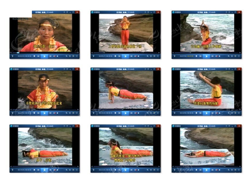 蕙兰瑜伽视频教程下载,探索瑜伽世界的入门指南,蕙兰瑜伽视频教程下载,瑜伽入门者的终极指南