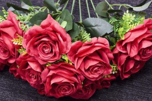 玫瑰花的魅力与象征意义，玫瑰花的魅力及其象征意义