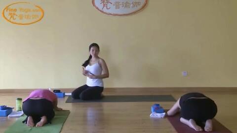 瑜伽视频教程,零基础入门指南,瑜伽初学者必备,零基础入门瑜伽视频教程指南