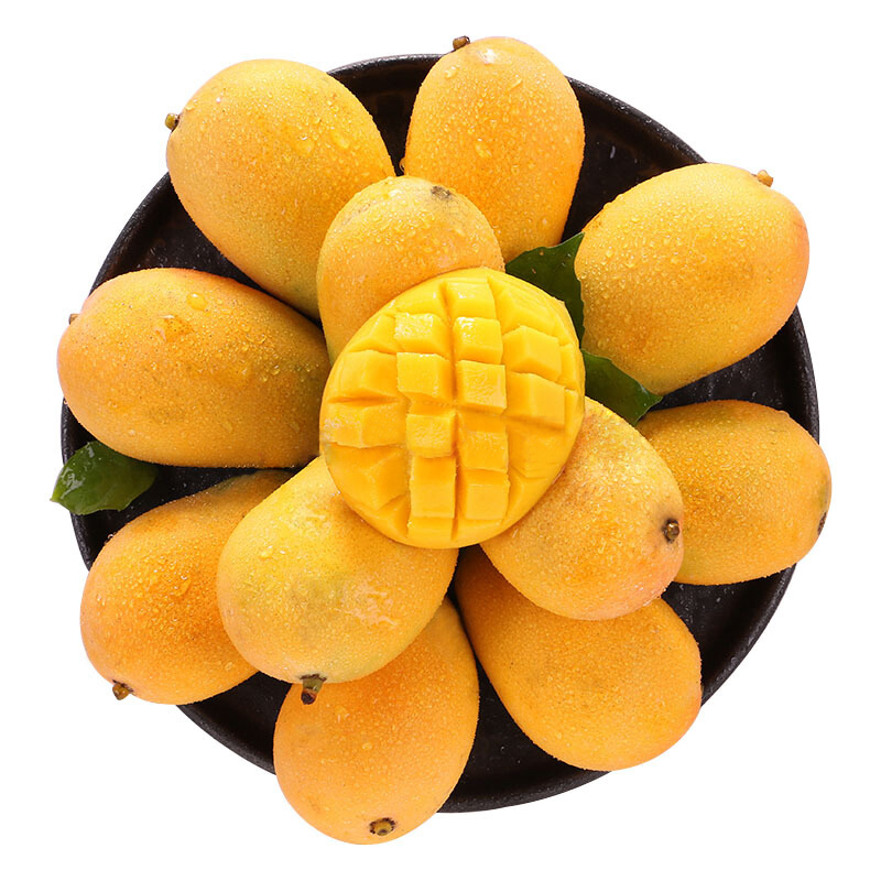 芒果团购网,引领新时代的智能团购体验,芒果团购网,智能团购新时代的引领体验