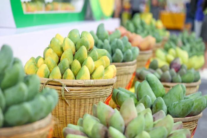 芒果团购网,引领新时代的智能团购体验,芒果团购网,智能团购新时代的引领体验