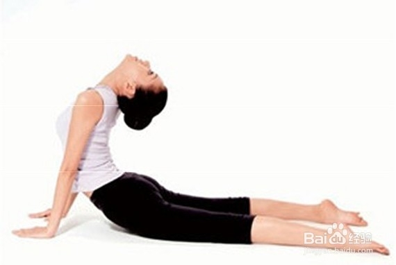 减肥瑜伽视频教程全集,塑造完美身材的全方位指南,减肥瑜伽视频教程全集,塑造完美身材的综合指南