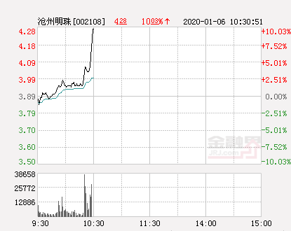沧州明珠股票行情深度分析,沧州明珠股票行情深度解读与剖析