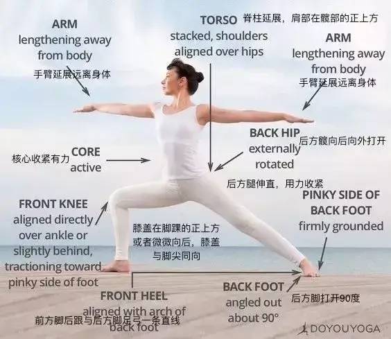 瑜伽从哪里开始学起,探索瑜伽的入门之路,瑜伽入门指南,从基础开始探索瑜伽之路