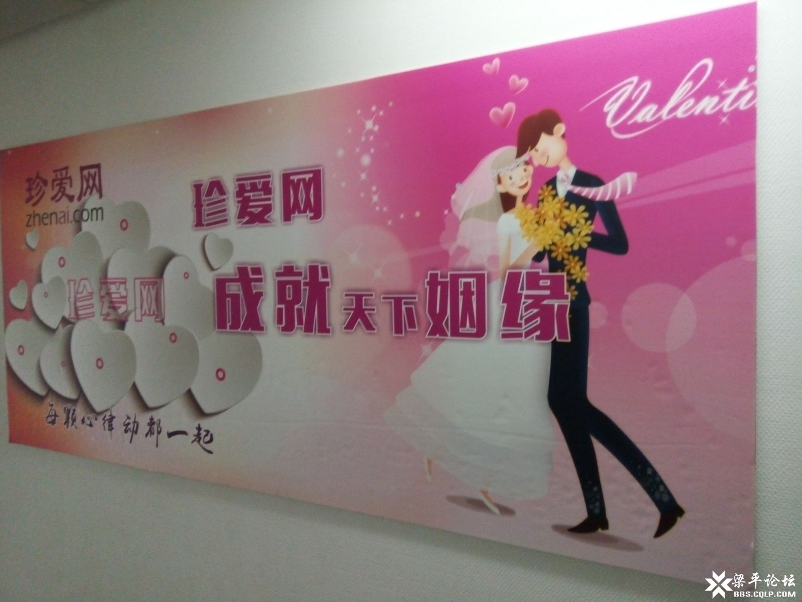 珍爱网招聘红娘,牵线缘分,共筑美好未来,珍爱网招聘红娘,牵线缘分,共创美好未来爱情之旅