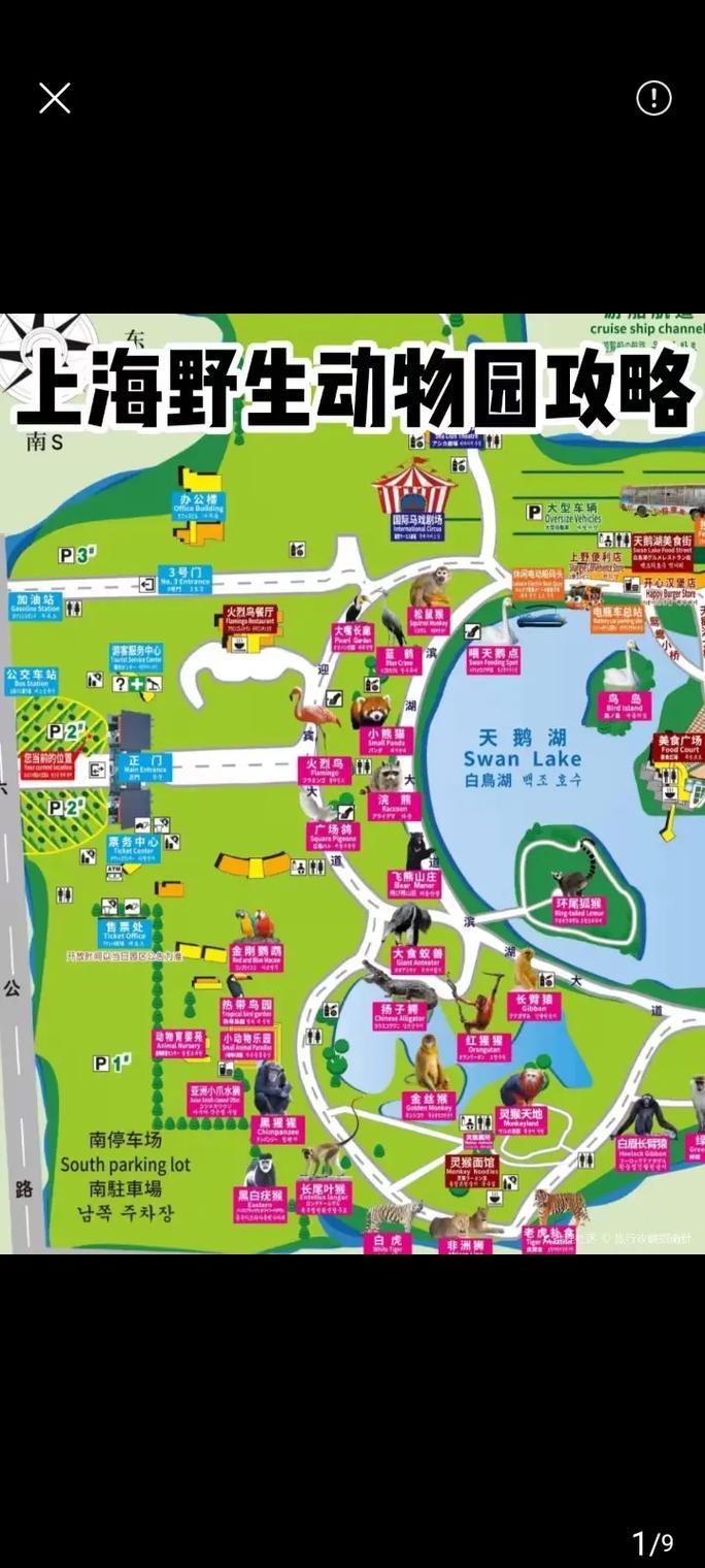 上海动物园与上海野生动物园,城市中的自然对决,上海城市中的自然对决,动物园与野生动物园的对比