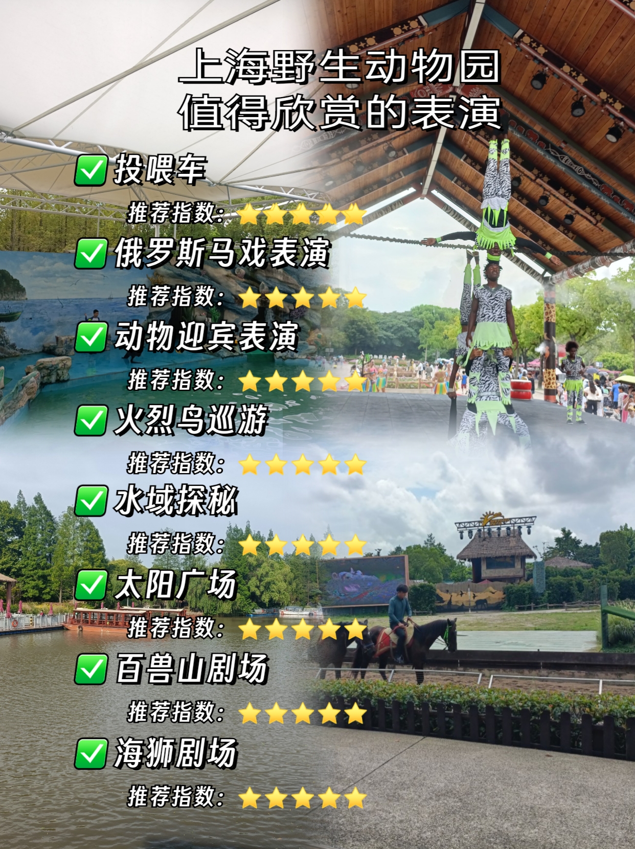 上海动物园与上海野生动物园,城市中的自然对决,上海城市中的自然对决,动物园与野生动物园的对比