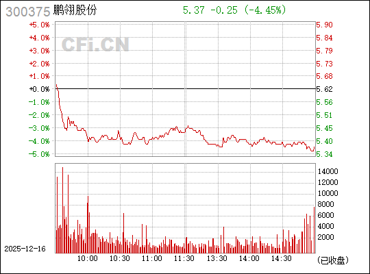 鹏翎股份,引领行业变革,铸就企业辉煌,鹏翎股份,引领行业变革,铸就辉煌企业成就