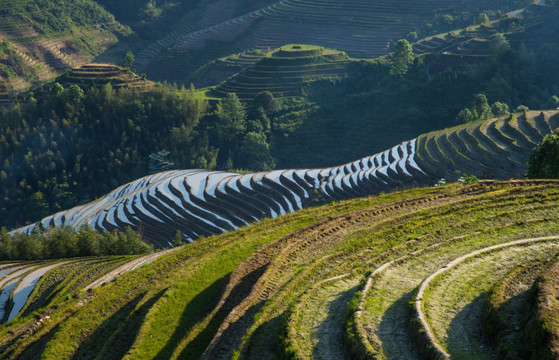 龙胜梯田