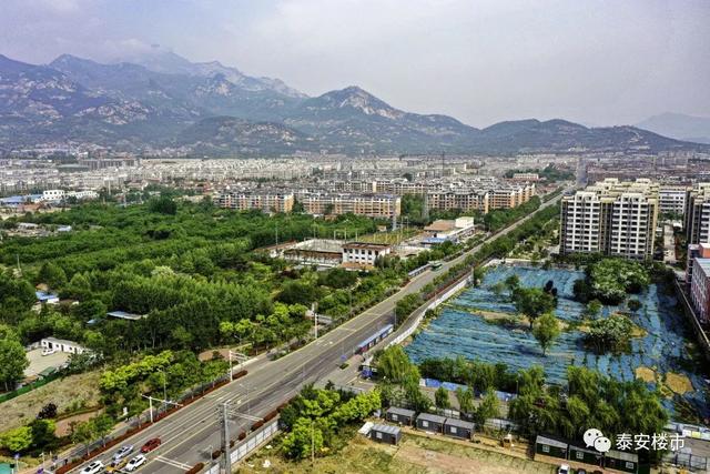 深度分析与反思