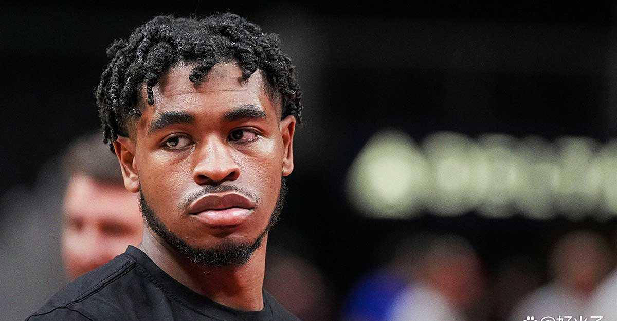 澳门正版四不像，探索与解析，澳门正版四不像，深入探索与解析