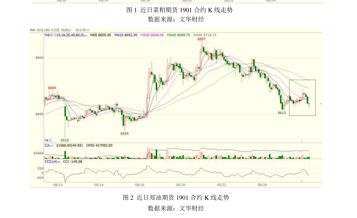 仁智油服股吧,探索前沿技术与卓越服务的融合之道,仁智油服股吧,前沿技术与卓越服务的融合探索之路