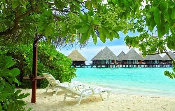 黄色与玫瑰的情人节,独特浪漫的双色交响曲,浪漫双色交响曲,情人节之黄色与玫瑰的恋歌