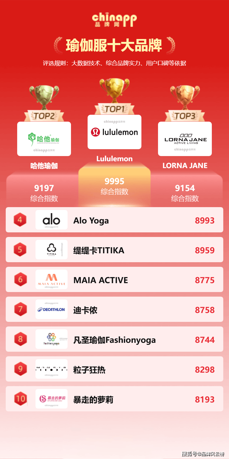 国际瑜伽服十大品牌,引领时尚与健康的完美结合,国际瑜伽服十大品牌,时尚与健康的完美融合领军榜
