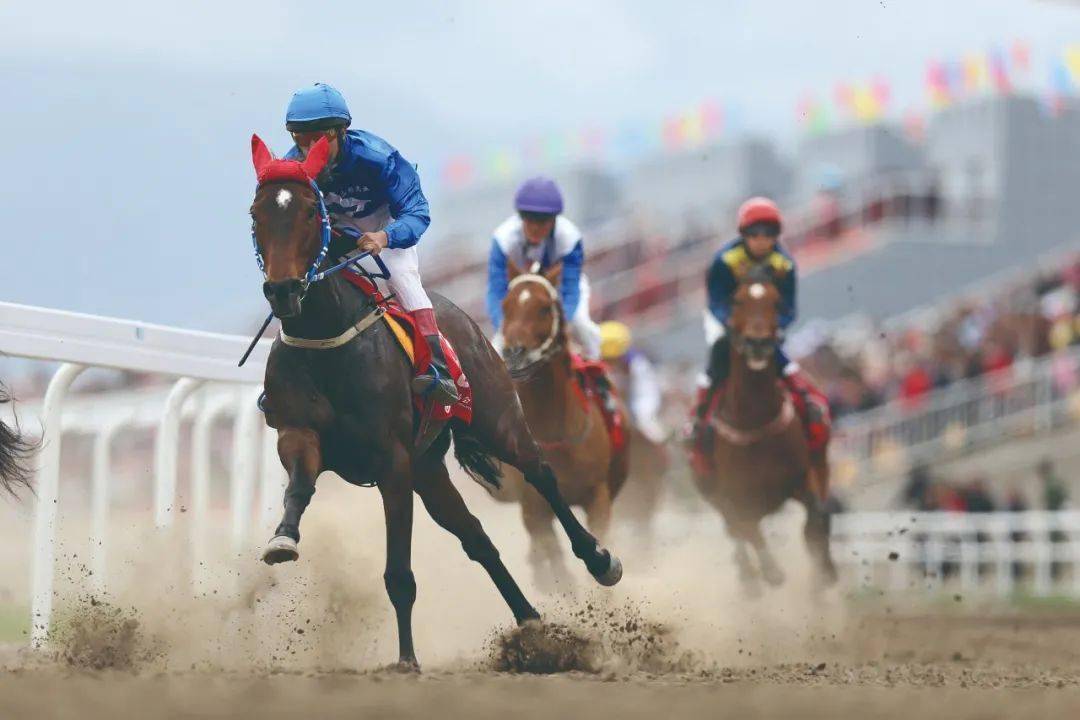 澳门赛马六月开奖结果