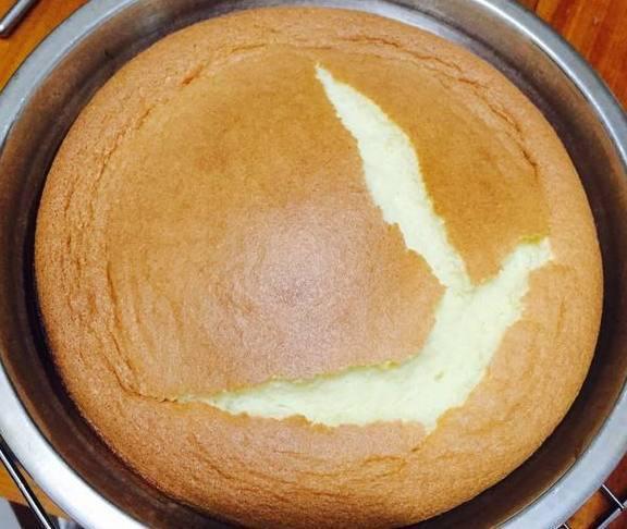 烤箱做蛋糕,从入门到精通的艺术,烤箱蛋糕制作,从新手入门到技艺精通的艺术