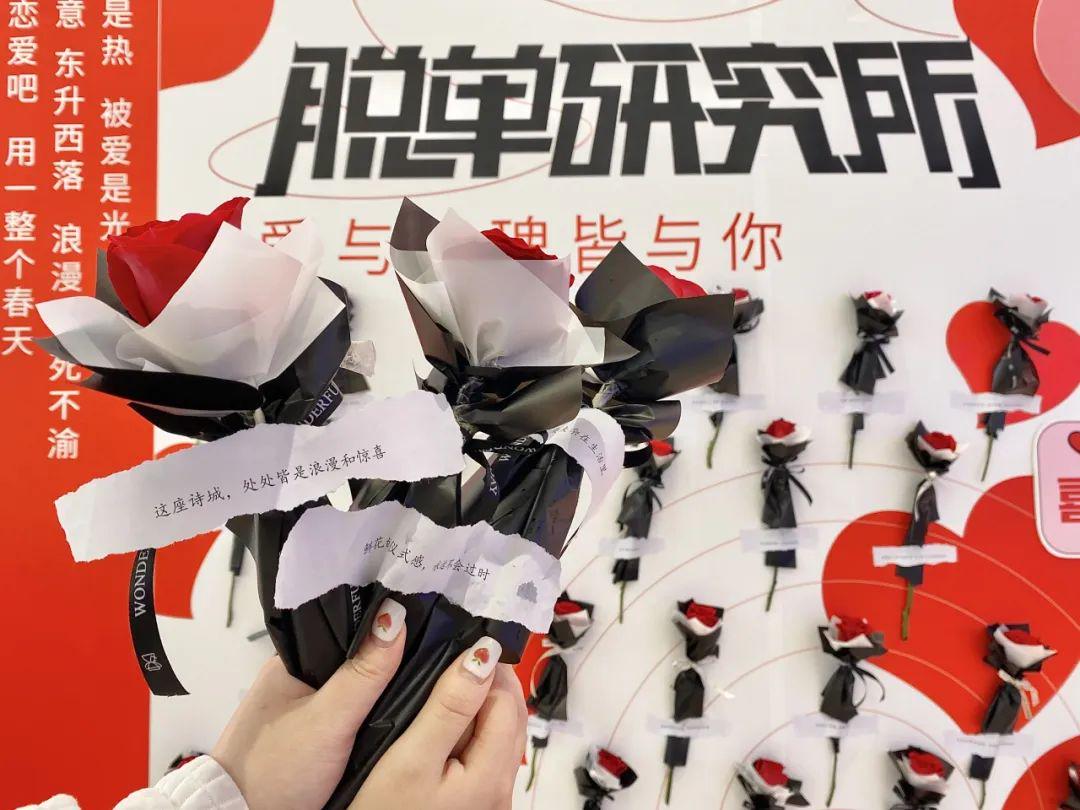 深度解析与对比