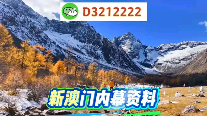 澳门六会精准大全,探索与解析,澳门六会精准大全,深度探索与全面解析