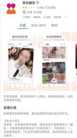 自我展示与寻找共鸣，我在婚恋网上的旅程，我在婚恋网上的旅程，自我展示与寻找共鸣的探险