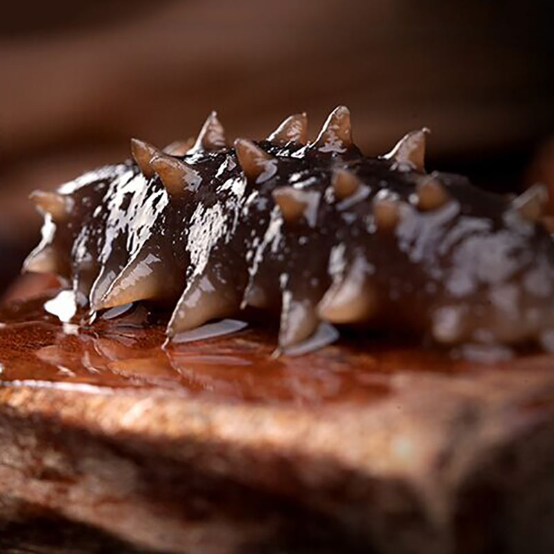 海参，海洋之宝，营养珍品，海参，海洋之宝，营养珍品之王