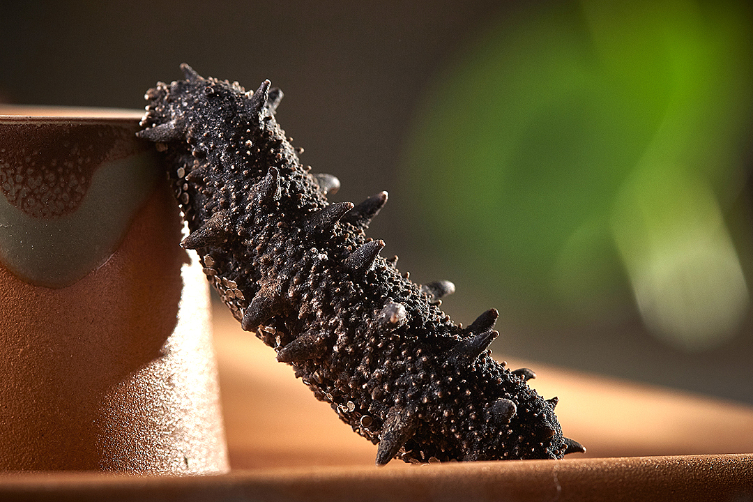 海参,海洋之宝,营养珍品,海参,海洋之宝,营养珍品之王