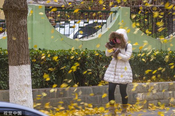 澳门最快的开奖记录，速度与激情的博弈，澳门开奖记录，速度与激情的博弈揭秘