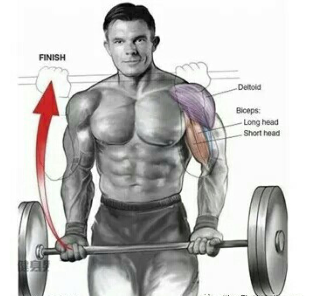 杠铃弯举，普通人的力量挑战与重量考量，普通人挑战力量极限，杠铃弯举的重量考量与力量挑战之路