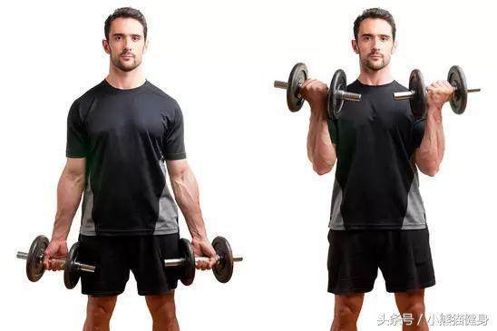 杠铃弯举,普通人的力量挑战与重量考量,普通人挑战力量极限,杠铃弯举的重量考量与力量挑战之路