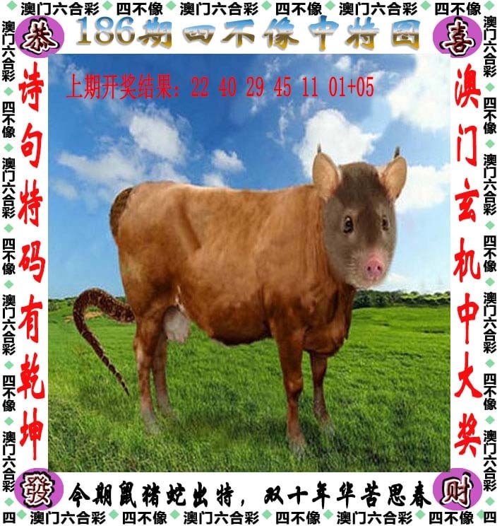 澳门精准四不像最新正版，探索与解析，澳门精准四不像最新正版解析与探索