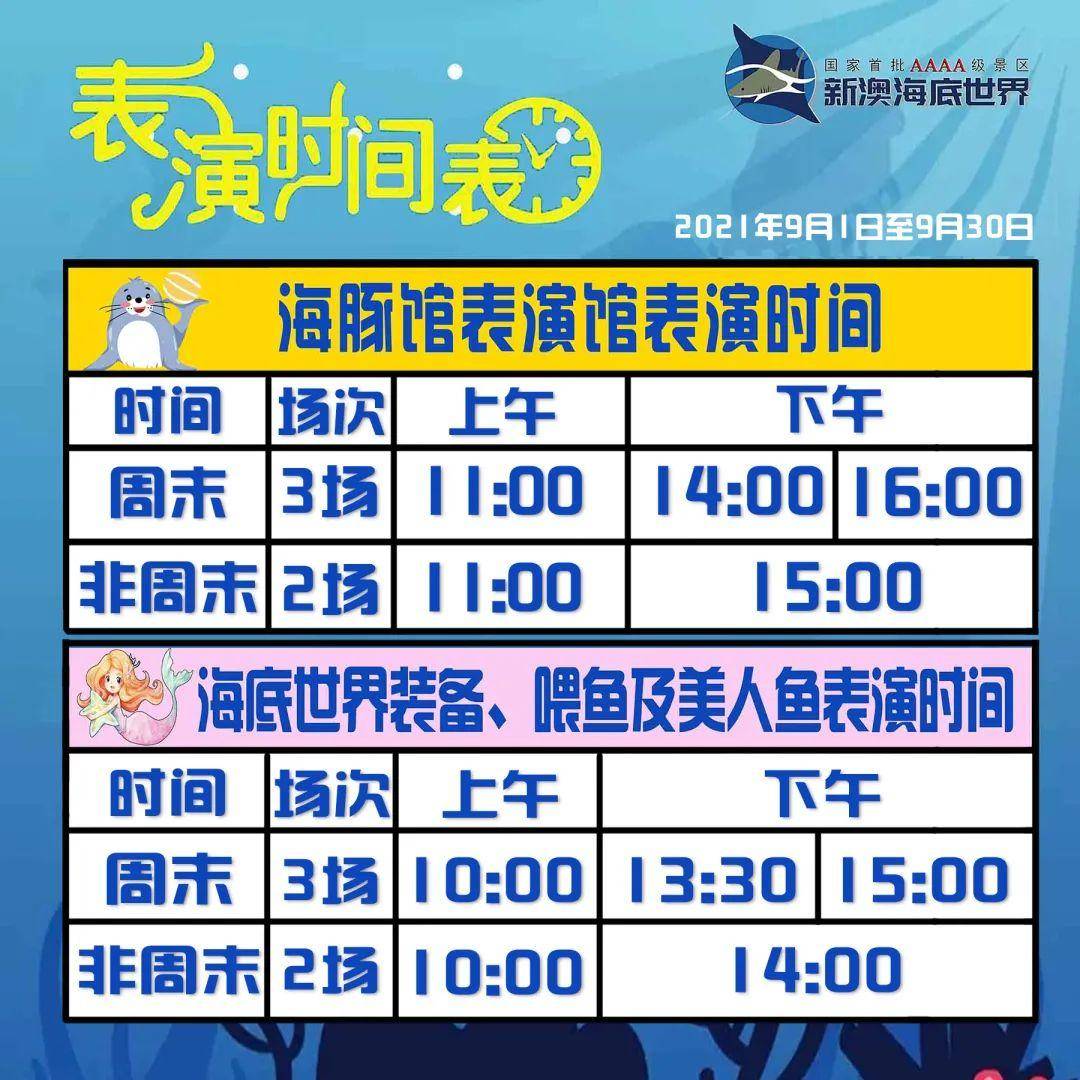 新澳天天开好彩资料大全——探索彩票世界的奥秘与魅力，新澳天天开好彩资料大全，揭秘彩票世界的魅力与奥秘