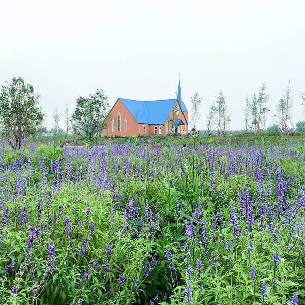 薰衣草庄园游玩攻略，薰衣草庄园游玩指南