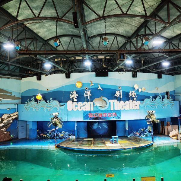 苏州海洋馆门票详解，探寻神秘海底世界的入场券，苏州海洋馆门票攻略，探寻神秘海底世界的入场指南