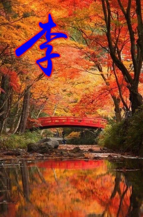 歼-10、歼-11与歼-16，中国空军现代化之路上的三大主力战机之区别，中国空军三大主力战机歼-10、歼-11与歼-16的区别及现代化之路探索