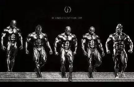 中国健美协会健身教练证书含金量深度解析，中国健美协会健身教练证书含金量解析