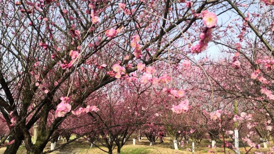 国际时事新闻点评,全球格局的新变化与挑战,全球格局新变化与挑战,国际时事新闻点评