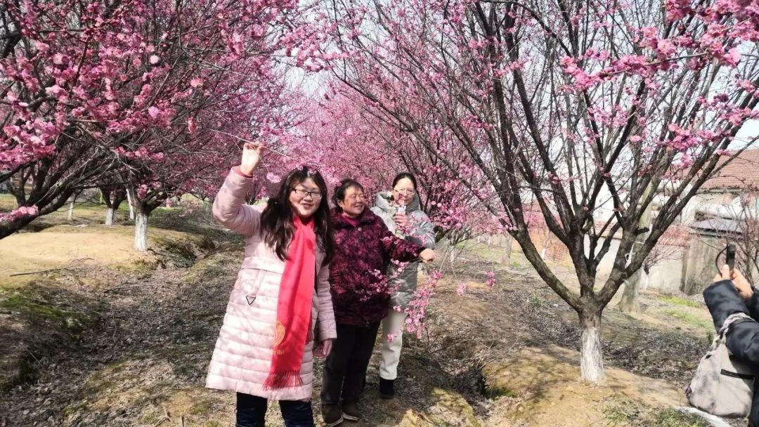 国际时事新闻点评,全球格局的新变化与挑战,全球格局新变化与挑战,国际时事新闻点评