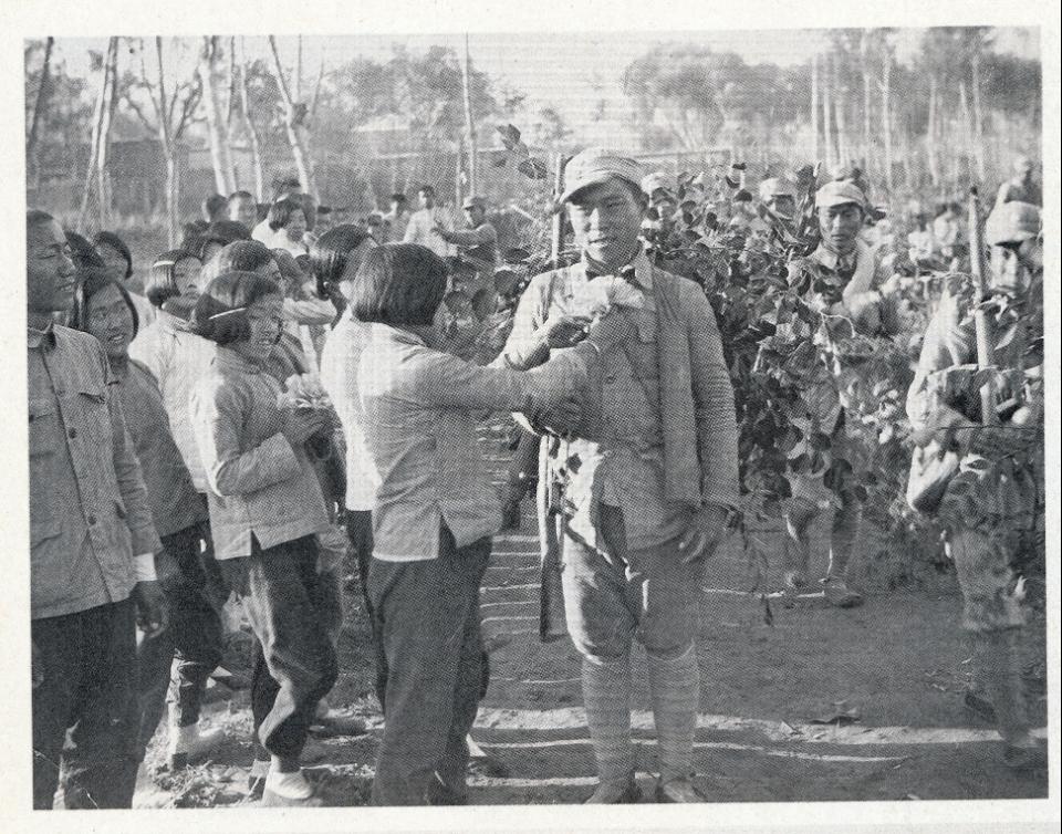 两国战争,紧张局势与全球关注,全球关注下的两国战争紧张局势