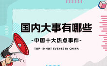 最新概览